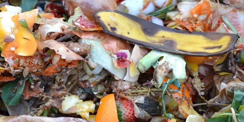 food-waste-das-grosse-wegwerfen-reste-von-essen