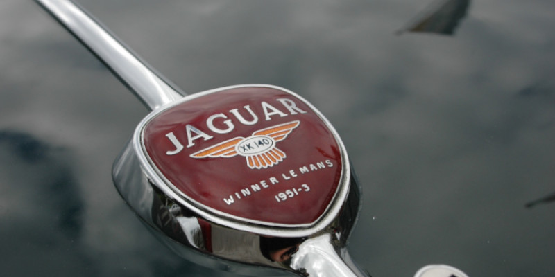 interview-mit-michael-lenzen-jaguar-logo-auf-auto