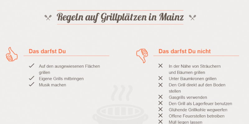 grillen-in-mainz-fuer-studierende die wichtigsten Grillregeln