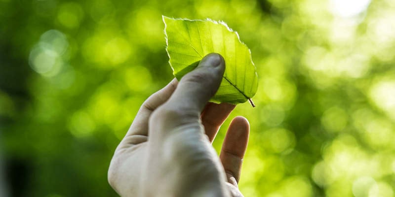 Nachhaltig leben: 24 Tipps für einen nachhaltigen Alltag